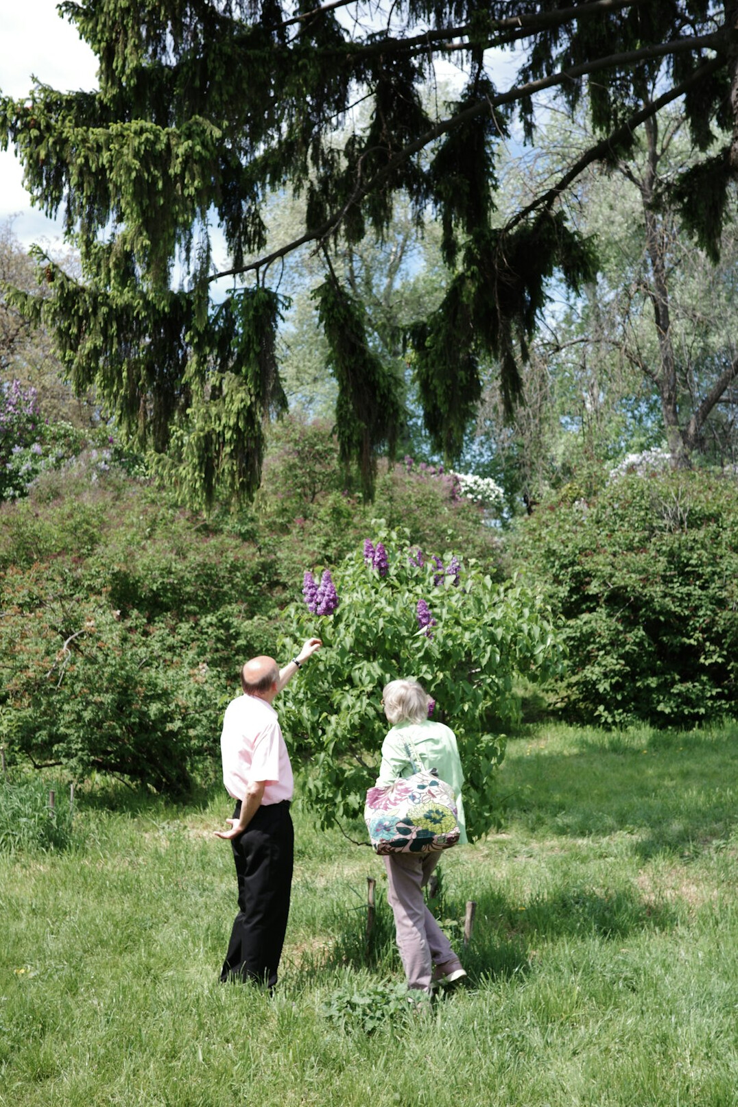 elderly friends talking in garden